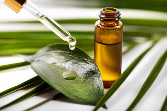 What is Tea Tree Oil used for?
